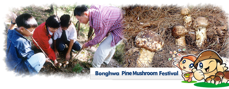 Bonghwa Songi Festival
