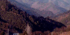 Mt. Taebaek