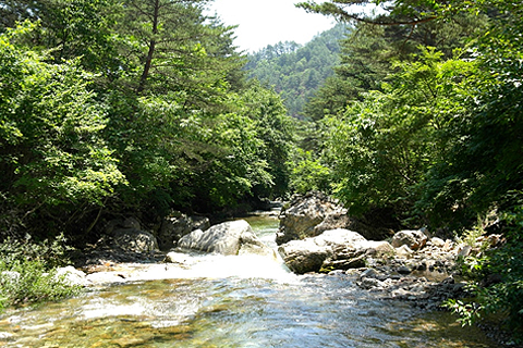 백천계곡 사진2