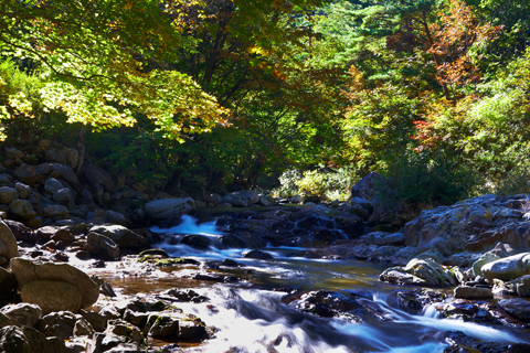 백천계곡 사진3