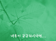 이미지없음