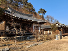 야옹정
