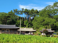 두릉정
