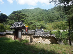 와선정