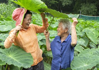 2020년 경북 농업인 정보화 경진대회 대상작(농업농촌사진경진)